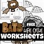 Image result for Bat Worksheet