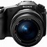 Image result for Sony DC RX10