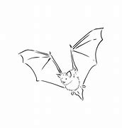 Image result for Clip Part Bat Realistic