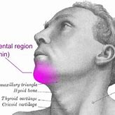 Image result for Sharp Chin Face