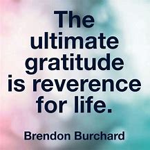 Image result for Ultimate Gratitude