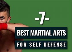 Image result for deadliest martial art