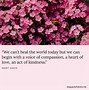 Image result for Quotes Re Compassion