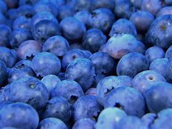 Image result for Blueberry