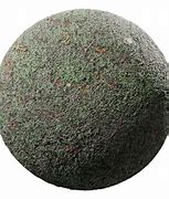 Image result for Cool Moss