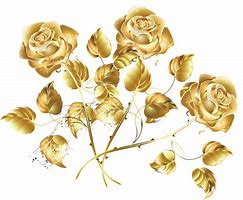 Image result for Gold Rose Watercolor Transparent