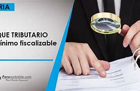 Image result for fiscalizable