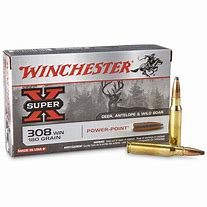 Image result for Super X-Small Bullet
