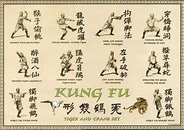 Image result for Types of Kung Fu Styles