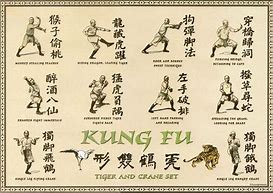 Image result for Kung Fu Sash Drawing