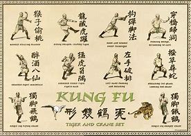 Image result for List of All Kung Fu Styles