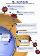 Image result for What Is HIV and Aids