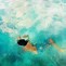 Image result for iPhone Underwater Photography