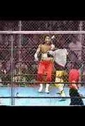 Image result for Cage of Death Match