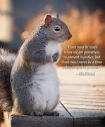 Image result for Funny Squirrel Sayings