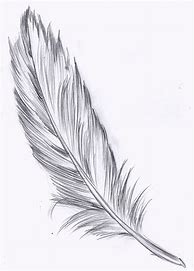 Image result for Feather Design Drawing