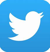 Image result for Twitter App Icon