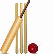 Image result for Cricket 2 Cutter