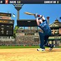 Image result for Pro Cricket Champion Game