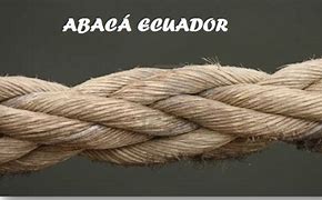 Image result for abaclra