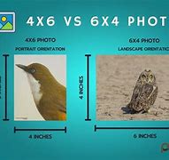 Image result for 4X6 Pages
