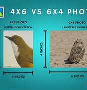 Image result for 4x4 vs 4X6