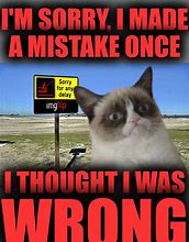 Image result for Sorry Cat Meme