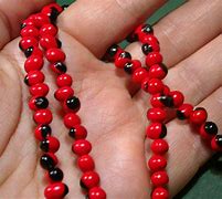 Image result for Rosary Pea Jewelry