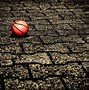 Image result for NBA Basketball Desktop Wallpaper