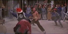Image result for Kung Fu Fight