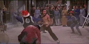 Image result for Martial Arts Fight