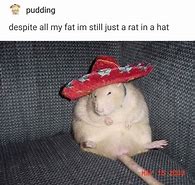 Image result for Fat Nuts Rat Meme