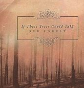 Image result for if_these_trees_could_talk