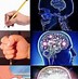 Image result for Soft Brain Meme