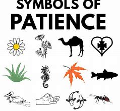 Image result for A Symbol for Patience