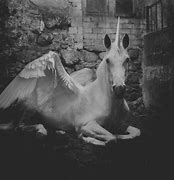 Image result for Evil Unicorn in Real Life