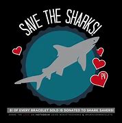 Image result for Save the Sharks Bracelet