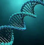 Image result for Your DNA Is Flipped Meme