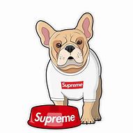 Image result for Supreme Dog