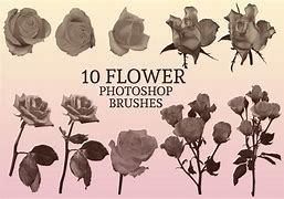 Image result for Rose Photoshop Brushes Free