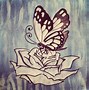 Image result for Butterfly Pencil Sketch