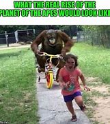 Image result for Planet Apes Musk Memes