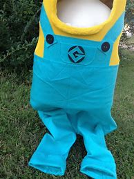 Image result for Minion DIY