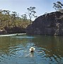 Image result for Australian National Country Swimming