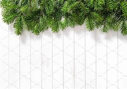 Image result for Christmas Tree Branches Stock-Photo