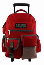 Image result for Rolling Backpack