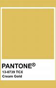 Image result for Champagne Loose Gold Leaf Pantone
