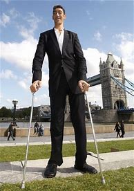 Image result for Tallest Dude in the World