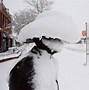 Image result for Eight Inches of Snow