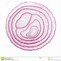 Image result for Cutting Onions Cartoon